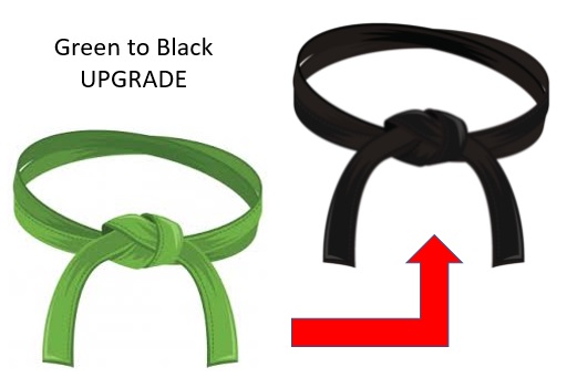Szkolenie green belt i black belt